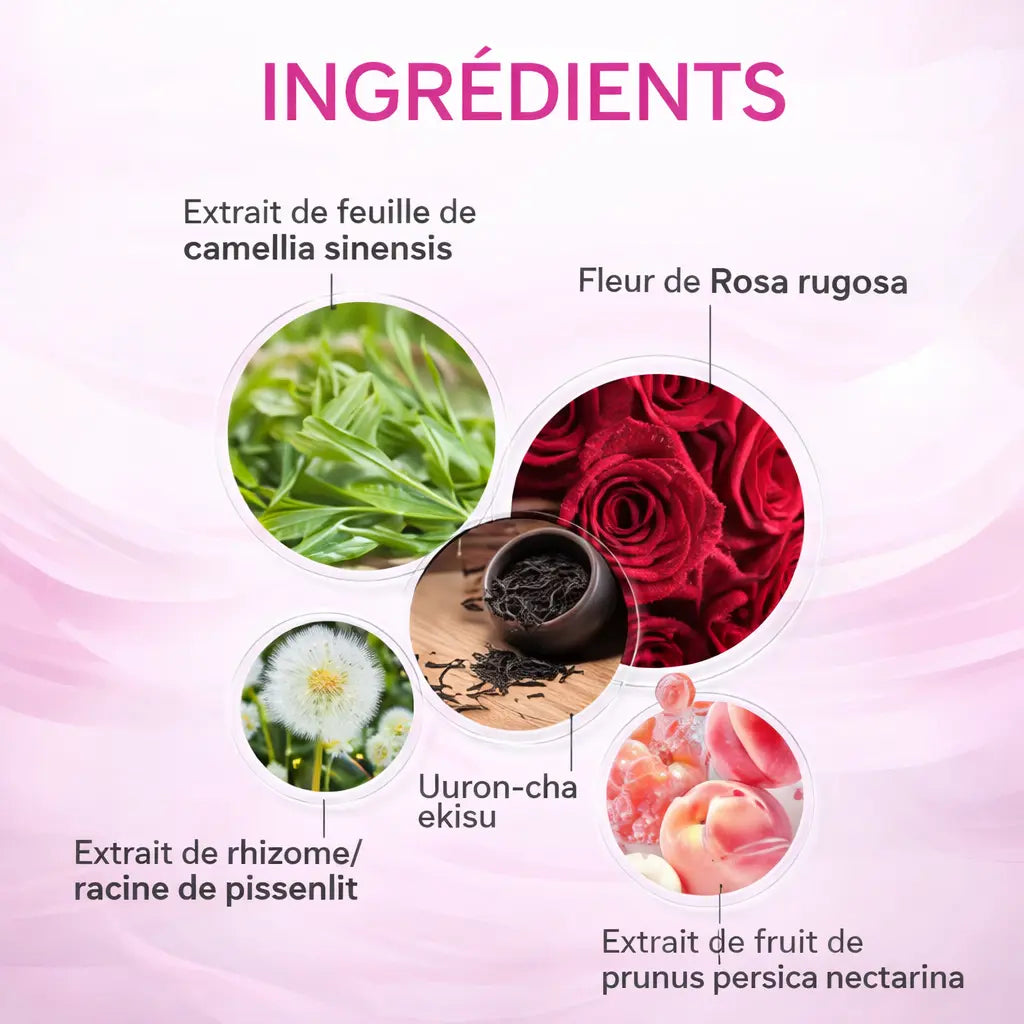Thé Japonais Vert Naturel pour Perdre du Poid Yoka